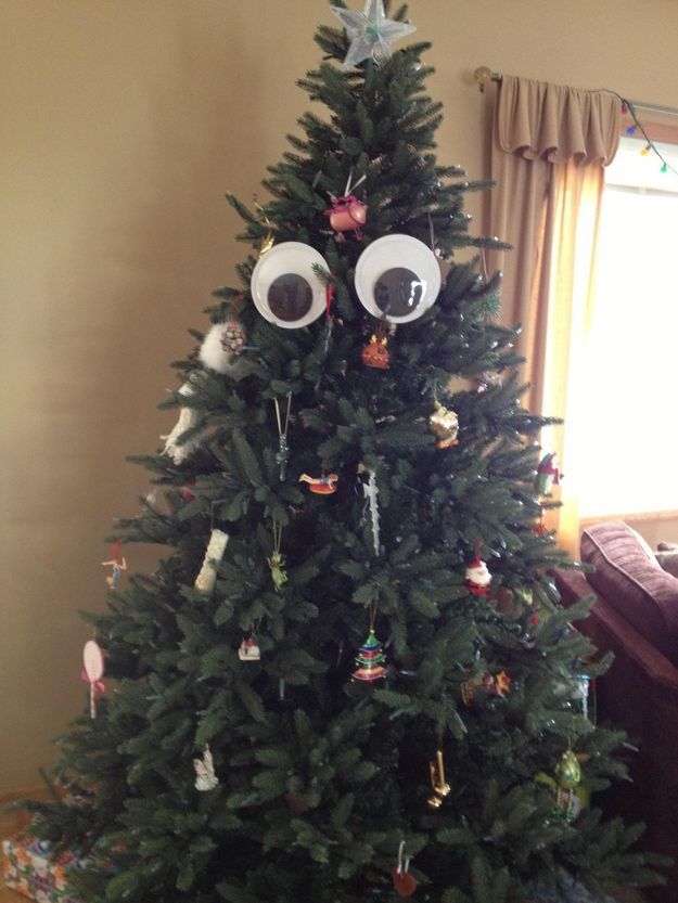 Googly Eyes Make Everything Better