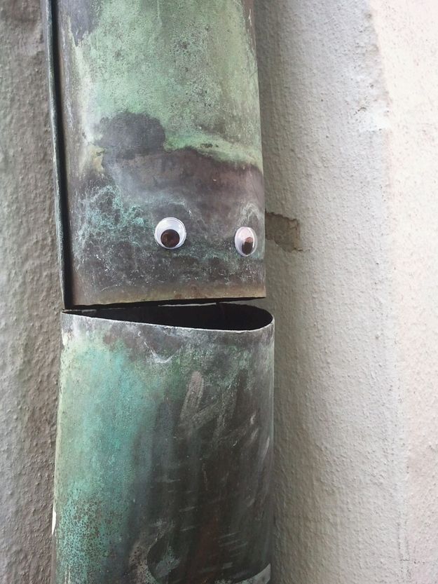 Googly Eyes Make Everything Better