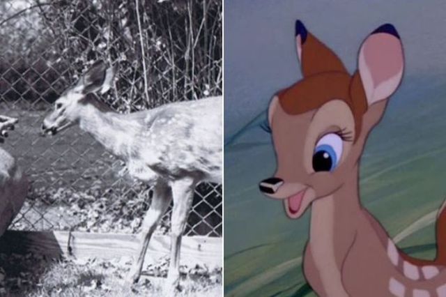 See Who Were the Real Life Models for Disney Characters
