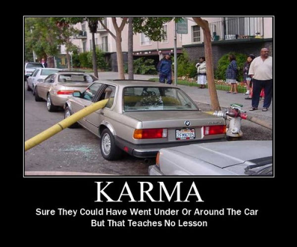 People and Animals Who Received a Good Lesson in Karma