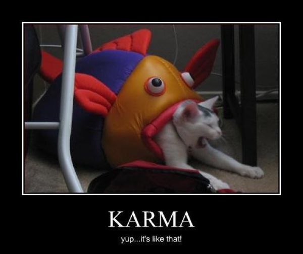 People and Animals Who Received a Good Lesson in Karma