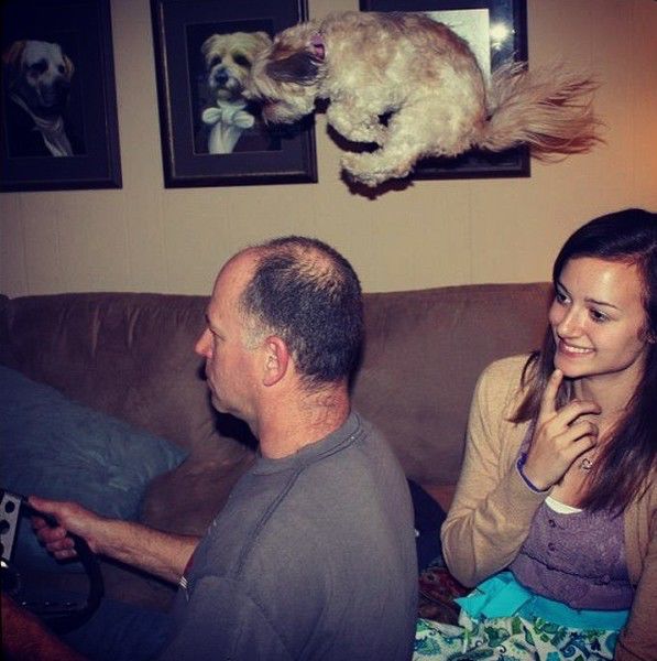 Daily Picdump