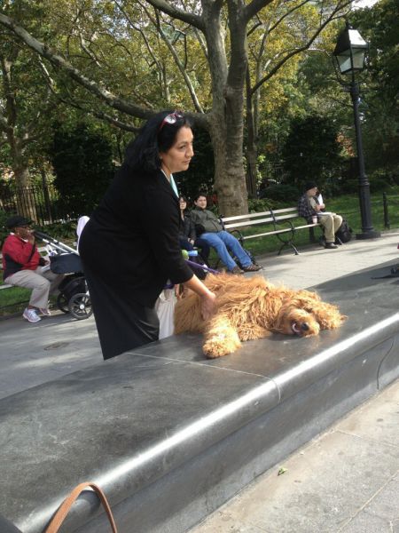 Daily Picdump