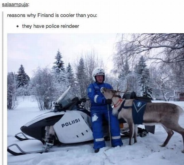 Daily Picdump