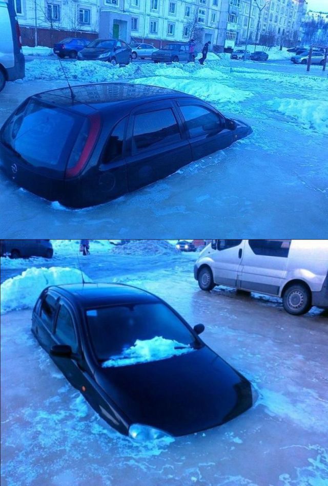 Daily Picdump