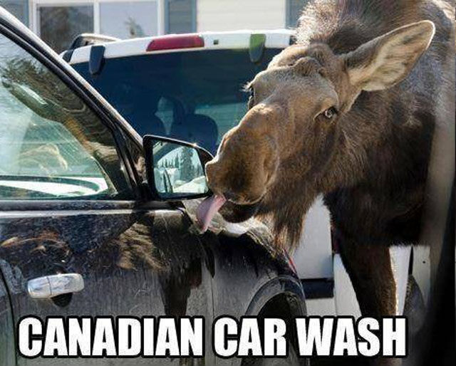 Funny Picdump