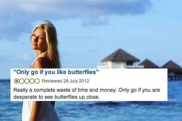 The Strangest and Most Cringe-Worthy Hotel Reviews