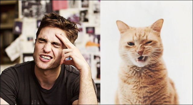 It’s Really Funny When Cats Mimic Men