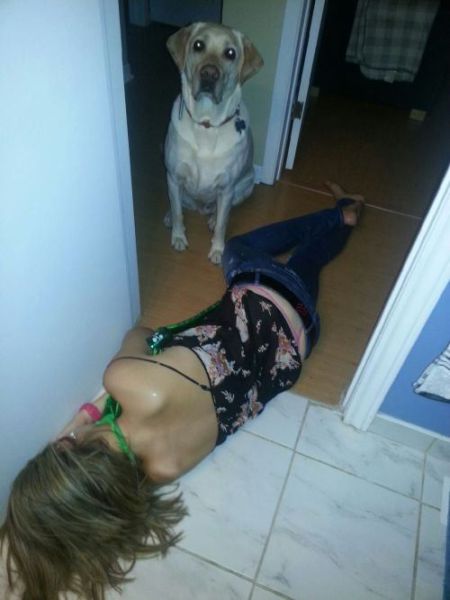 Hilarious Drunk and Wasted People. Part 15