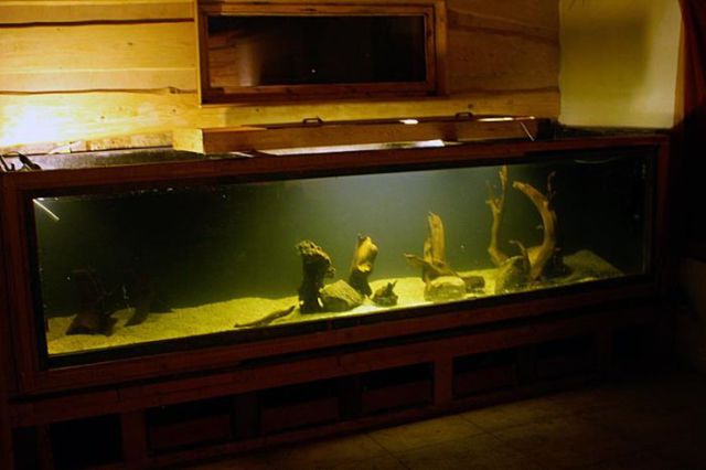 Giant Self-Made Home Aquarium