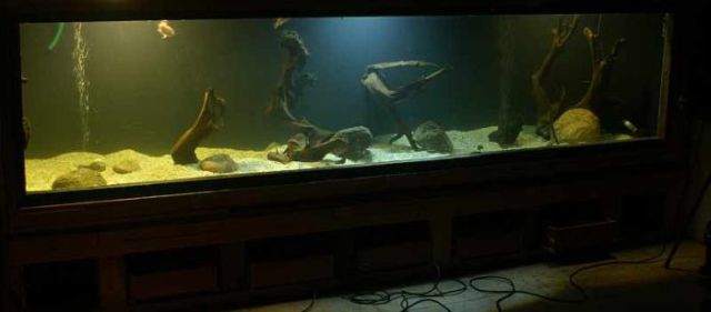 Giant Self-Made Home Aquarium