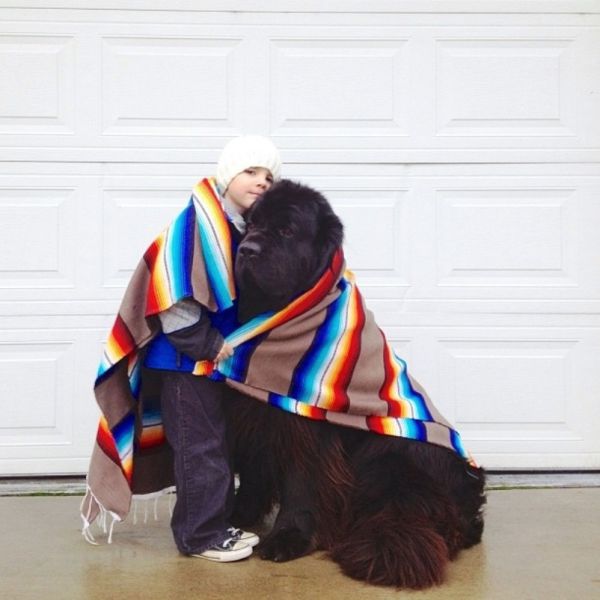 Sweet Pictures Captured In a Boy and His Dog Photo Series