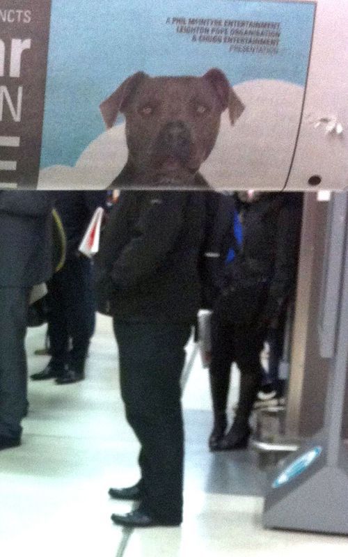 Funny Newspaper Photobombs Amuse This Bored Commuter