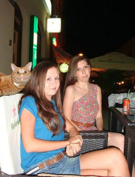 Animal Photobombs That Are Simply Classic