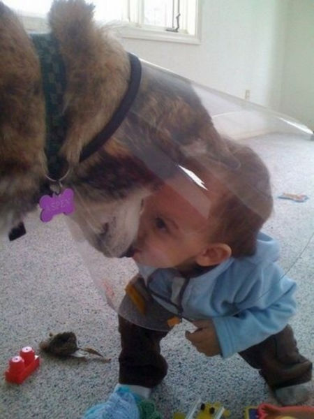 Dogs Are Kids’ Best Buddies Too