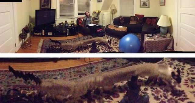 This Is What It Looks Like When Panoramic Photos Fail