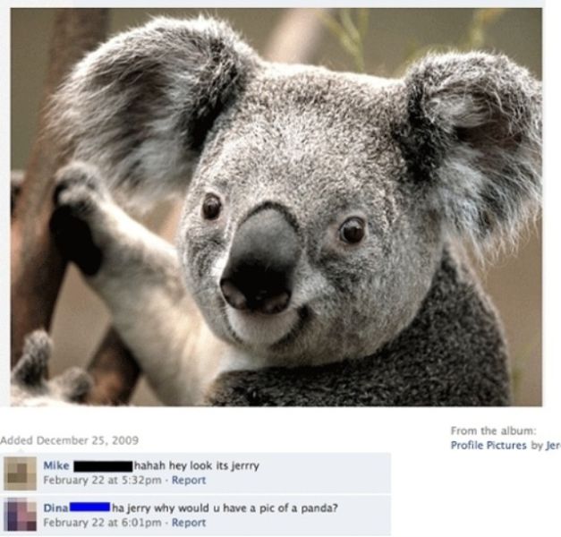 Facebook Users Who Should Be Banned for Being Dumb
