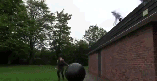 This Is What It Looks Like When Balls Fight Back
