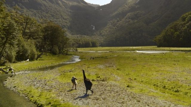 Why Living in New Zealand Actually Sucks