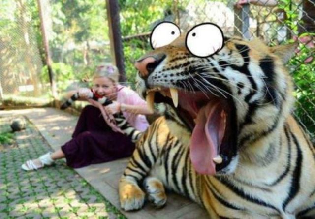 No Sign of Photoshop Here. Part 3