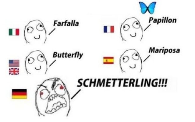 I Always Knew German Was a Special Language