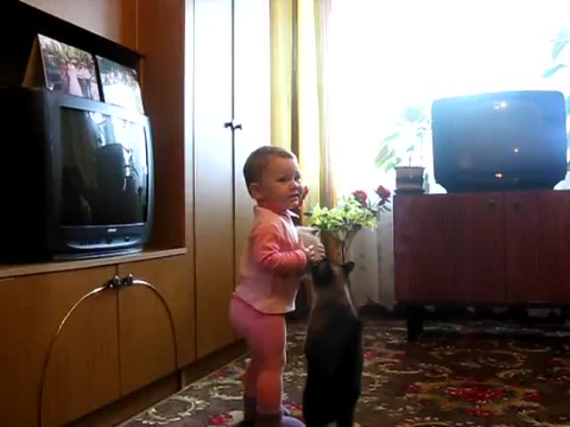 Cat Mom and Little Girl ‘Fight’ for the Kitten 