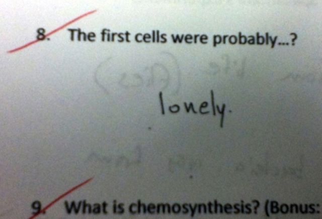 Hilarious Test Answers from Students