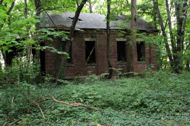 A Deserted Island in New York City