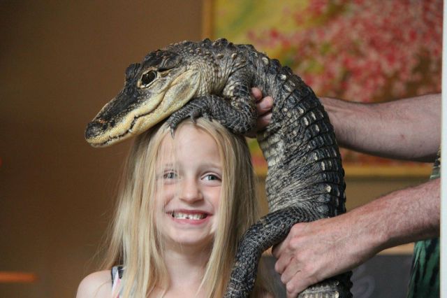 Educational Fun with Reptiles at Children’s Party