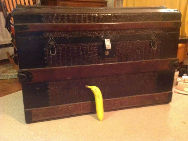 Great-Grandfather’s Locked Chest Holds Historical Treasures
