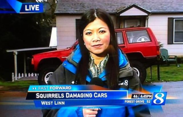 Local News Stories That Will Bore You to Death