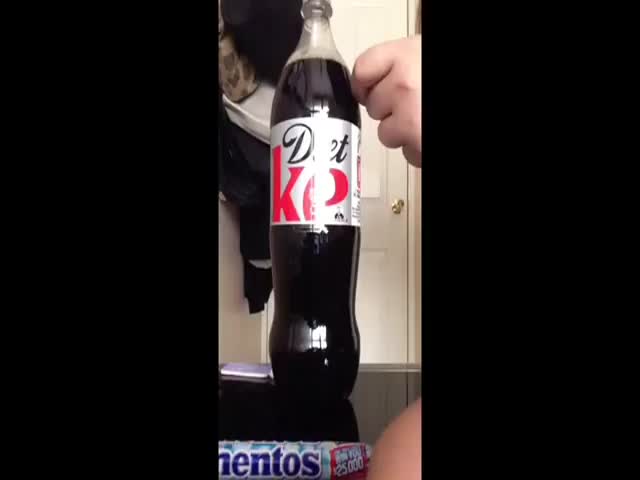 Little Girl Tries the Diet Coke and Mentos Challenge But… 