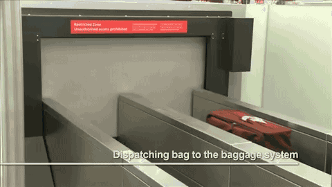 Follow Your Bag Behind-the-scenes at an Airport