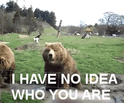 GIFs Provide A Comical Look At Daily Life Experiences