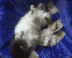 GIFs Provide A Comical Look At Daily Life Experiences