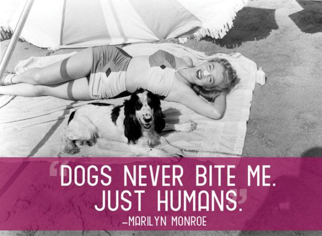 Cool Quotes That Will Make You Appreciate Your Pets