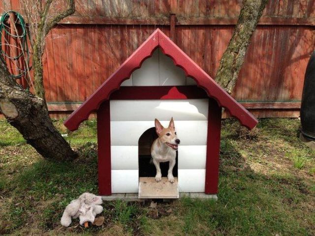 How to Make a Dog House from Scratch