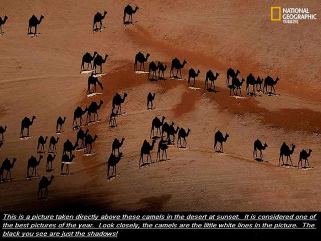 Great Images That Go Together with Astounding Facts