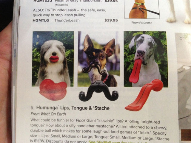The Quirkiest and Oddest Items for Sale on Skymall