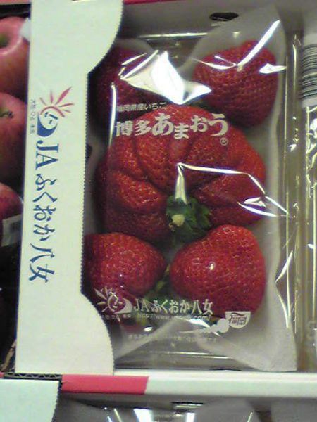 Mutant Produce from Japan