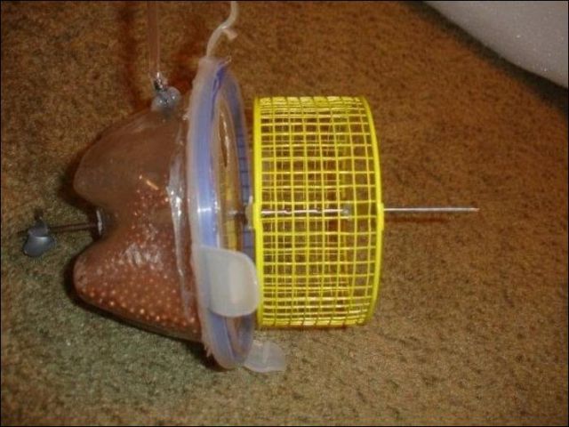 A Real-Life Functional Hamster Submarine