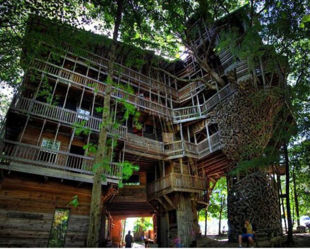 The Most Innovative Treehouses from around the World