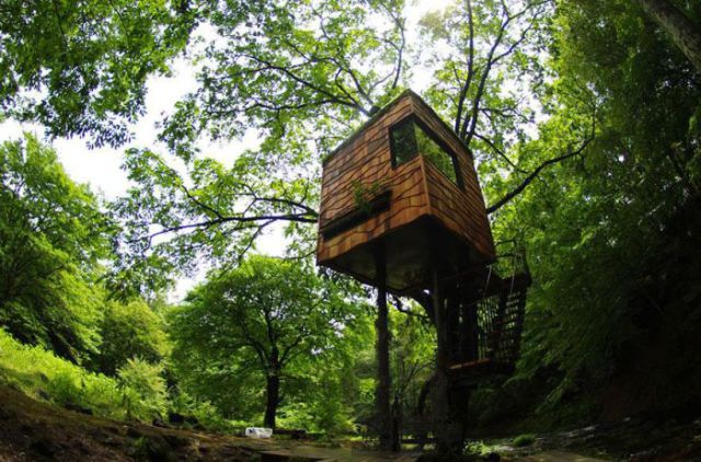 The Most Innovative Treehouses from around the World