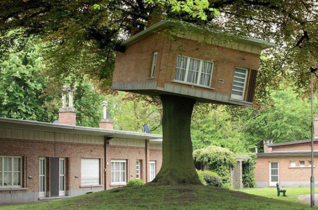 The Most Innovative Treehouses from around the World