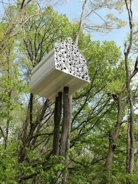 The Most Innovative Treehouses from around the World