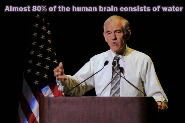 Get Your Fact Fix through These Fun Titbits