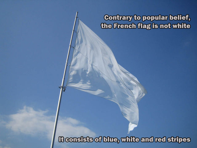 Get Your Fact Fix through These Fun Titbits