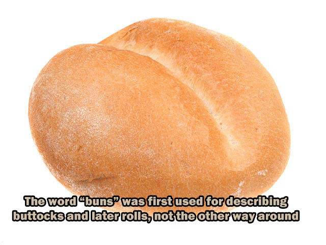 Get Your Fact Fix through These Fun Titbits