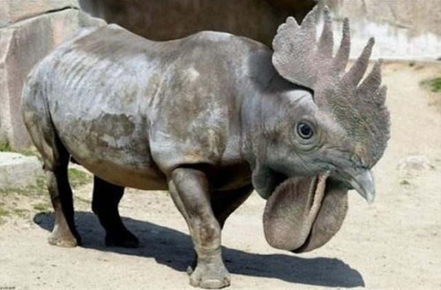 These Bizarre Hybrid Animals Really Freak Me Out
