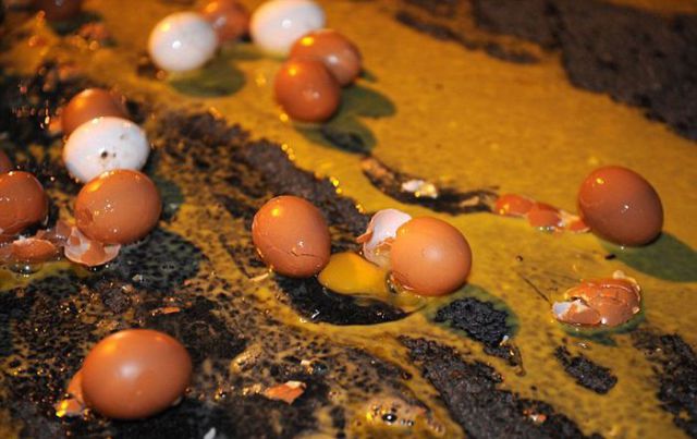 European Union Have 100,000 Eggs on Their Face